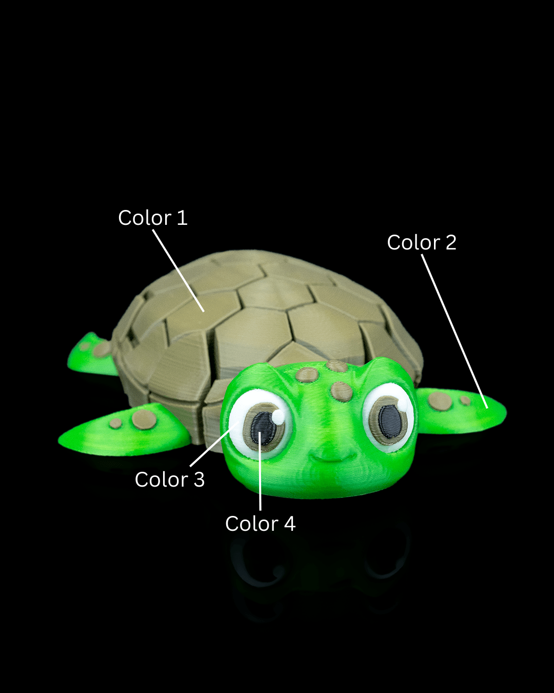Turtle